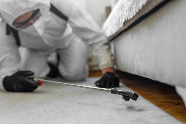 Professional Bed Bug Control technician working in Iberville Parish County, LA